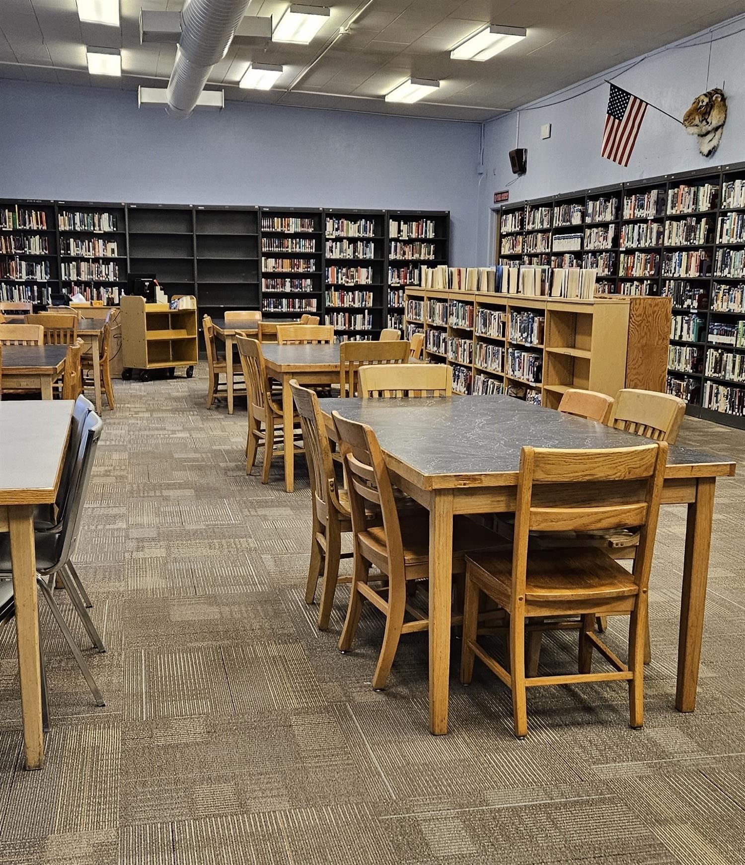 A picture of the books in the Library